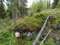 Rasti, jonka epäiltiin olleen väärässä paikassa